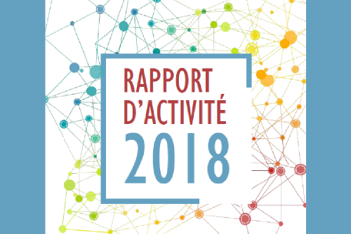 Sortie du Rapport d'activité 2018